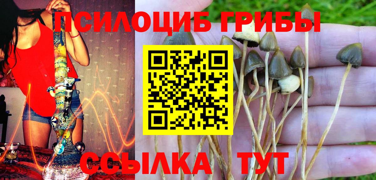 Галлюциногенные грибы прущие грибы Краснодар